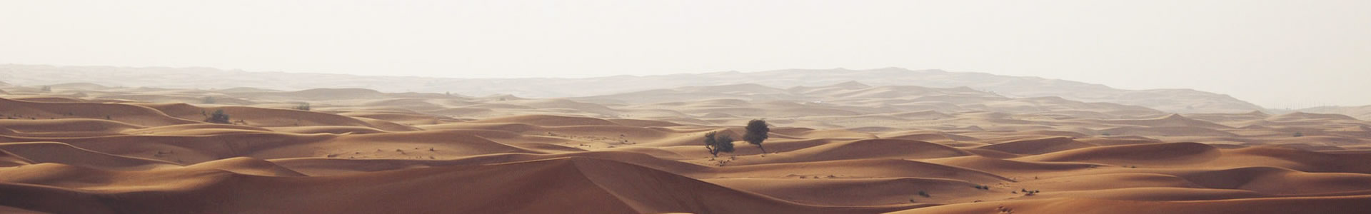ݰԴƼ޹˾